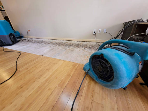 Professional Water Damage Repair technician working in Gilsum, NH